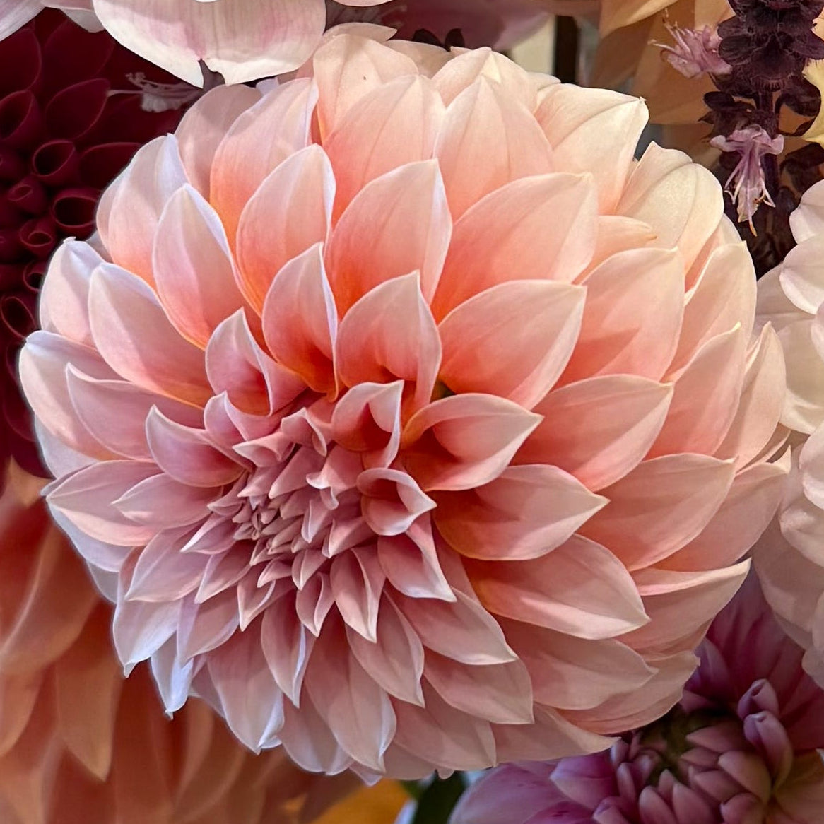 Peaches N' Cream